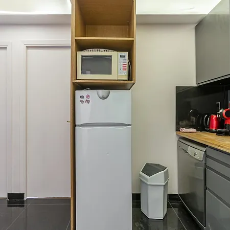 Apartment Elysees Paris