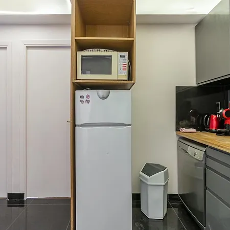 Elysees Apartment